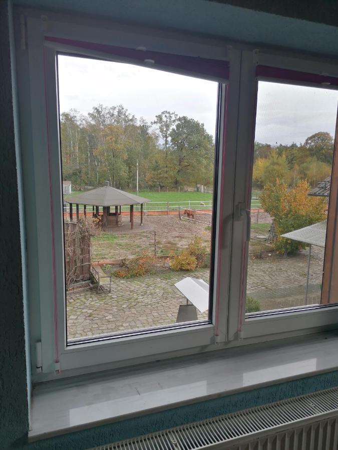 Weidmannsruh Apartment Fuer 2 Bis 3 Personen Frauendorf  Exterior foto